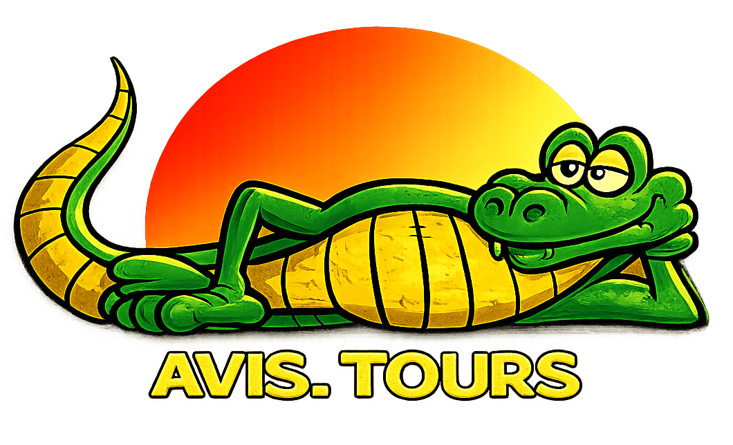 Logo AviTours